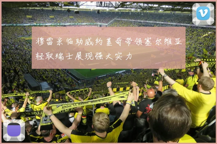 穆雷亲临助威约基奇带领塞尔维亚轻取瑞士展现强大实力