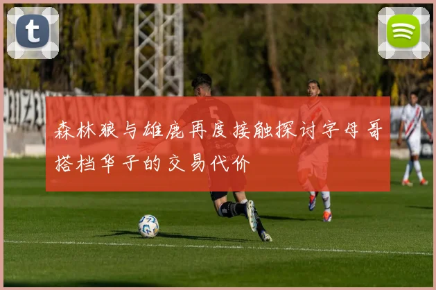 森林狼与雄鹿再度接触探讨字母哥搭档华子的交易代价